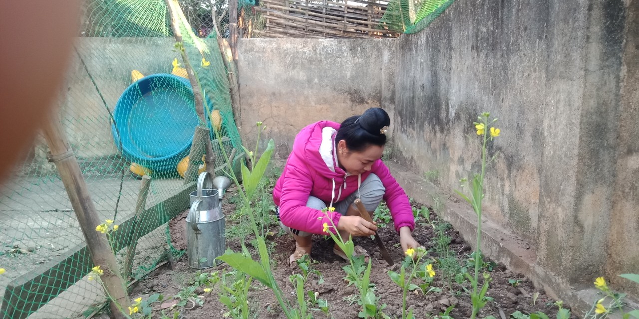 Cô giáo đang trồng rau