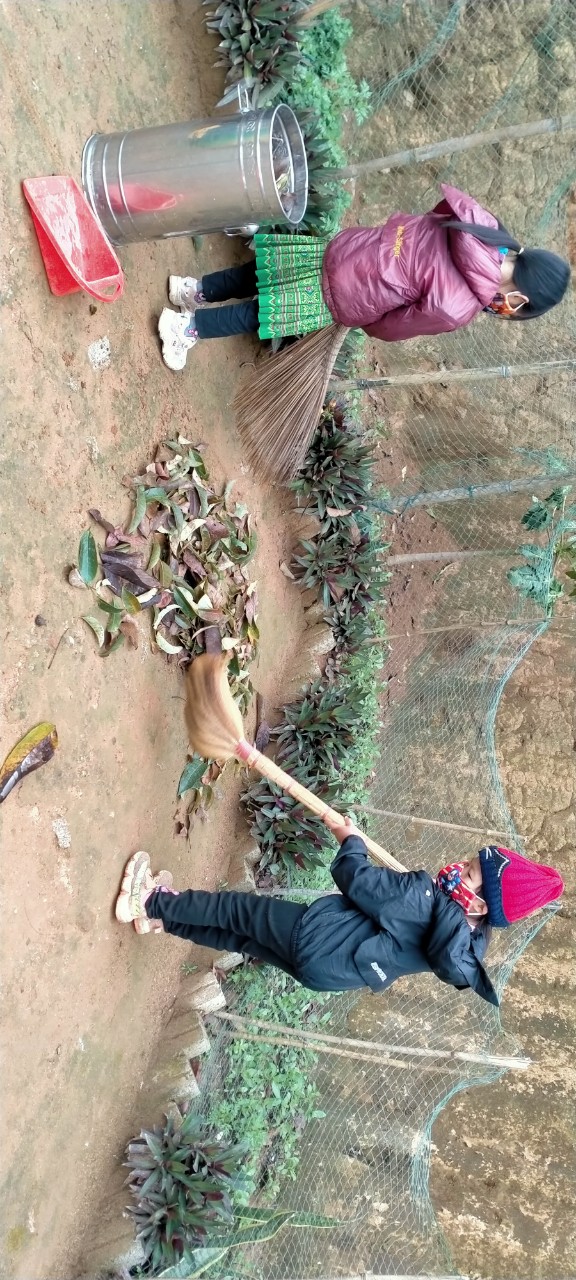 Lao động vệ sinh trường lớp, chăm sóc bồn hoa cây cảnh lơp MGG Háng tây