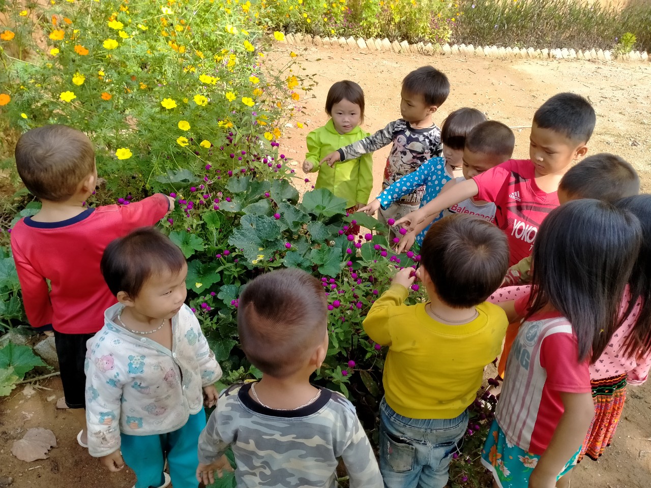 Trẻ đang quan sát hoa
